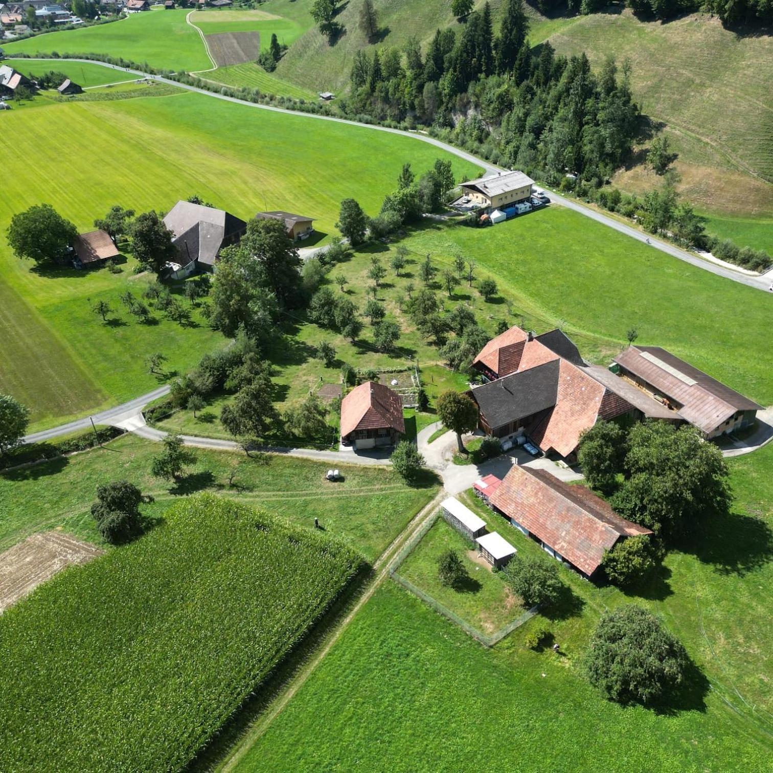 Emmental Ferien Apartment Langnau Ngoại thất bức ảnh
