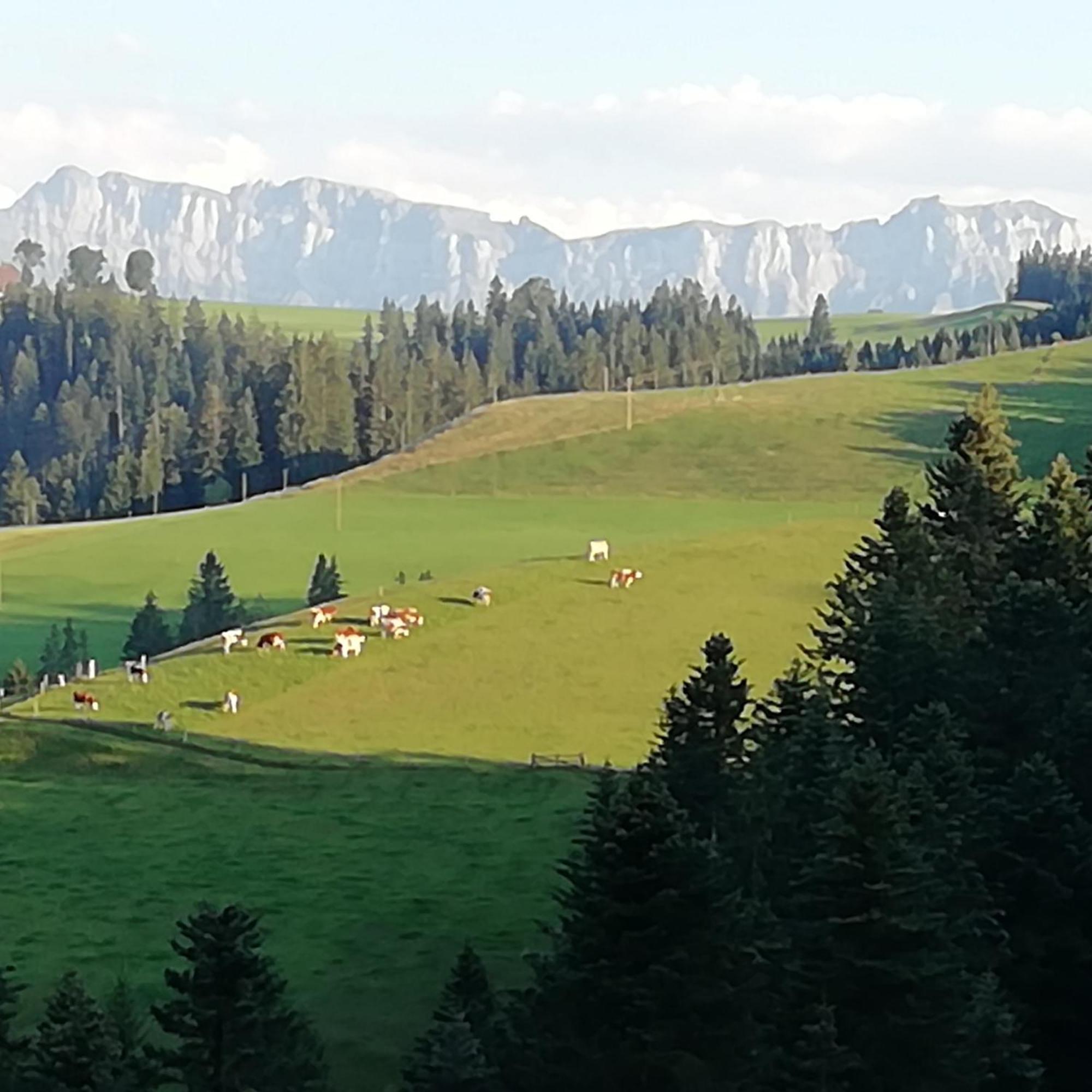Emmental Ferien Apartment Langnau Ngoại thất bức ảnh