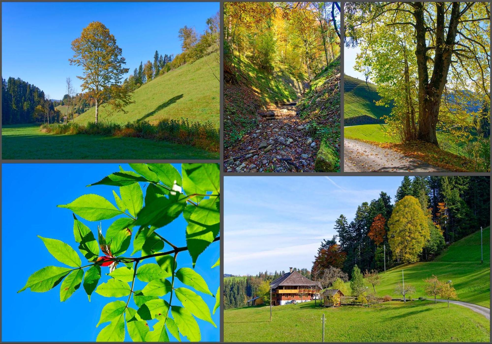 Emmental Ferien Apartment Langnau Ngoại thất bức ảnh