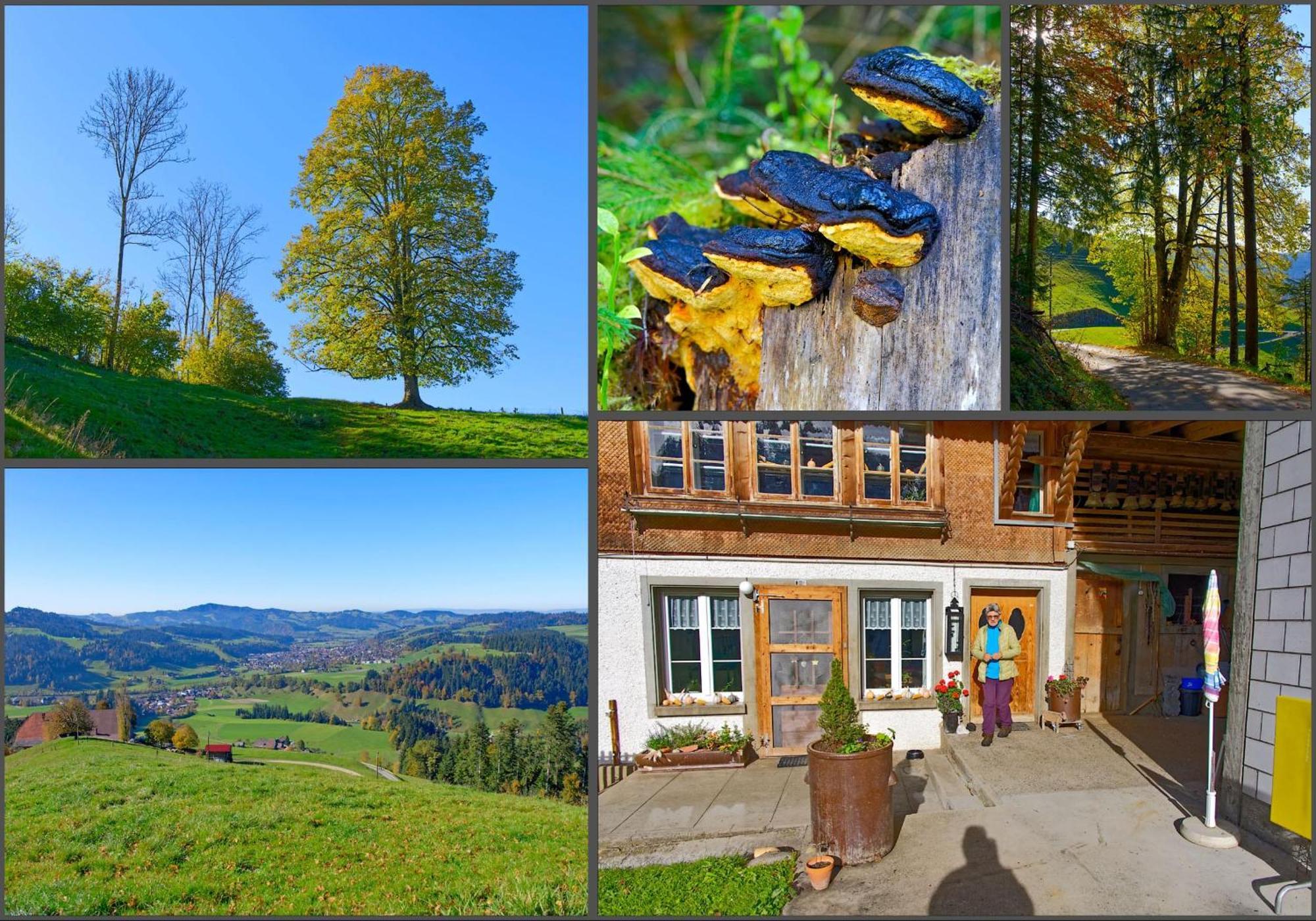 Emmental Ferien Apartment Langnau Ngoại thất bức ảnh