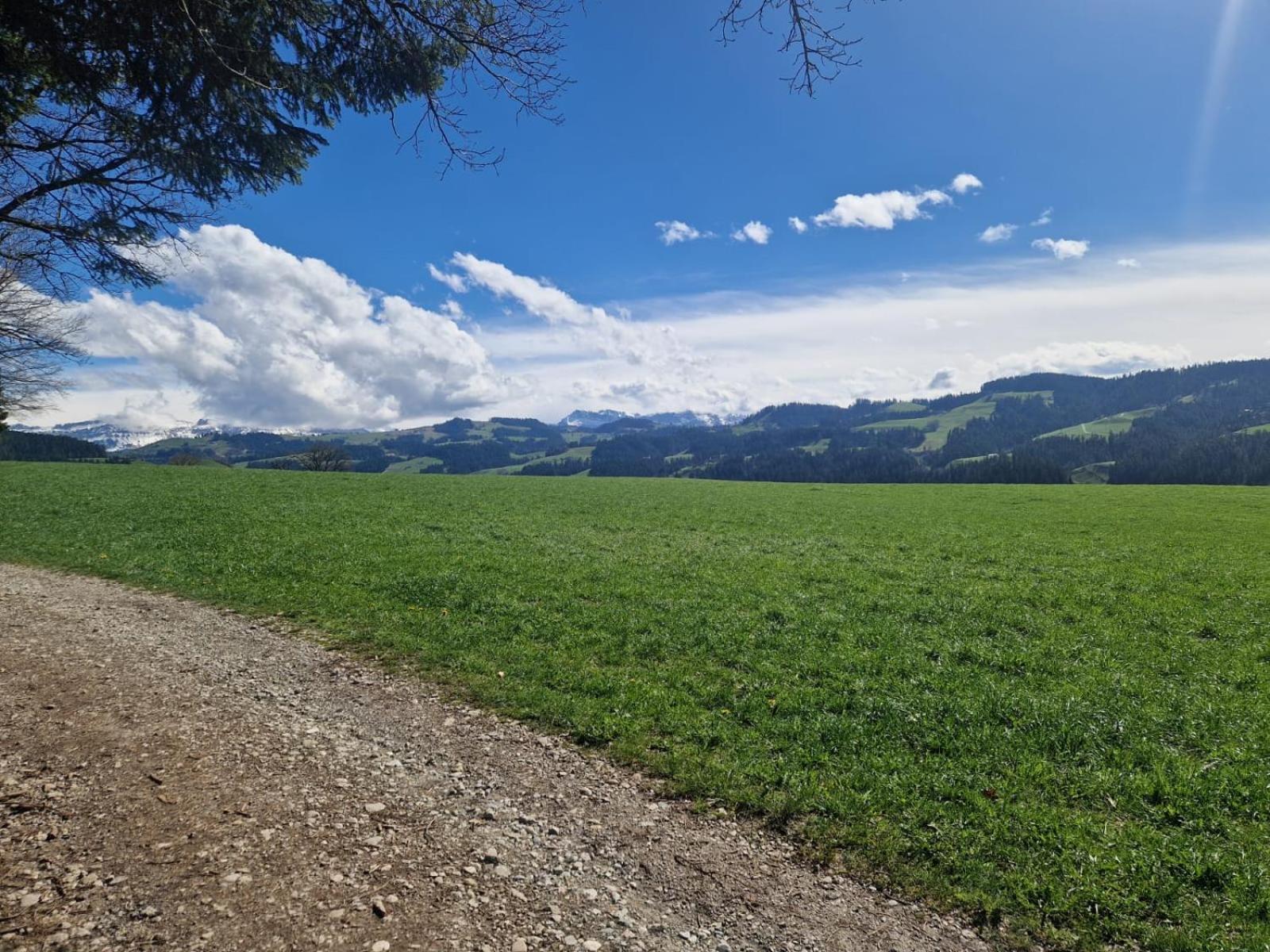 Emmental Ferien Apartment Langnau Ngoại thất bức ảnh