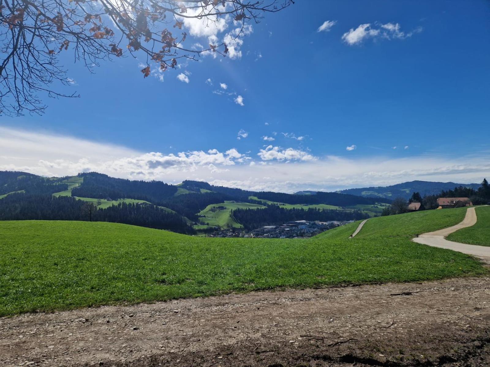 Emmental Ferien Apartment Langnau Ngoại thất bức ảnh